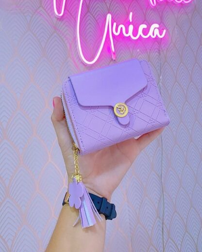 Billeteras colores