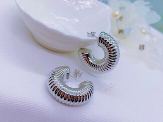 Aretes caracola