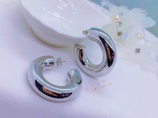 Aretes PSI