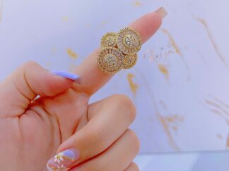 Anillo circus
