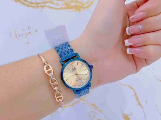 Reloj Q&Q Azul