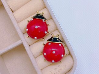 Aretes Ladybug 🐞