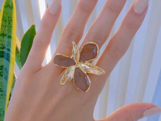 Anillo Michi