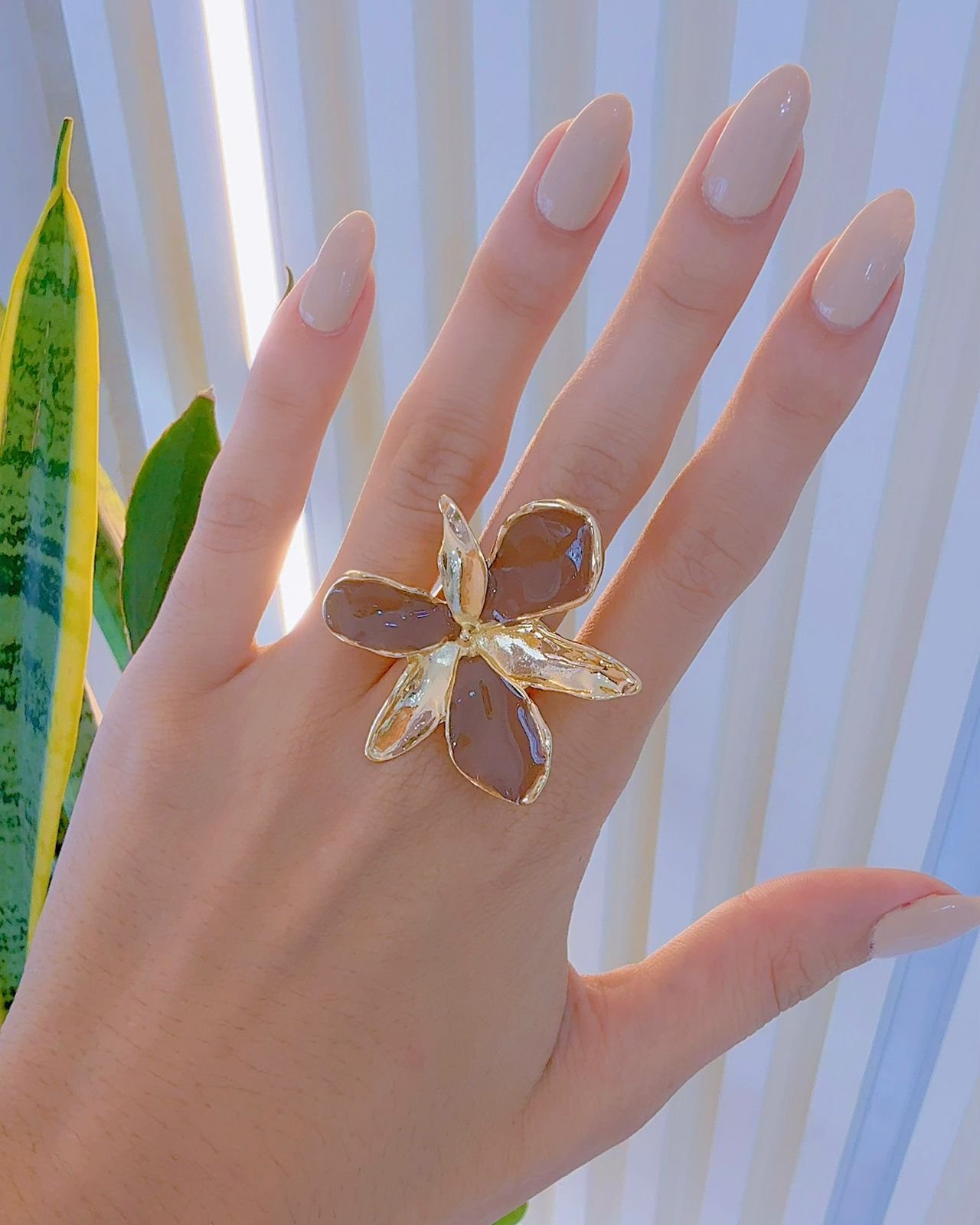 Anillo Michi