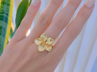 Anillo Eluné