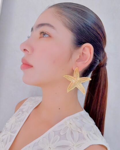Aretes Estrella