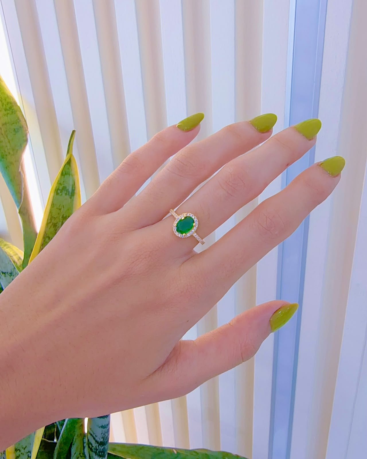 Anillo Yara
