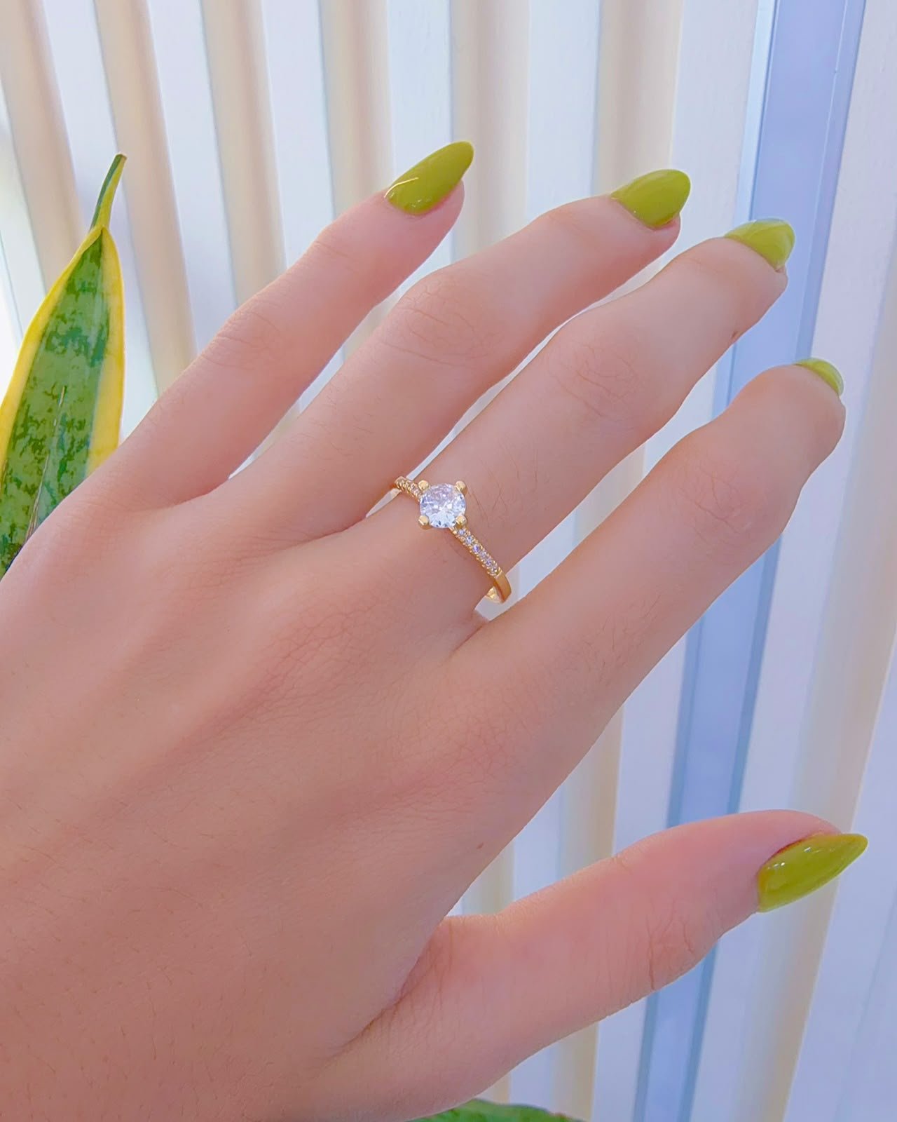 Anillo Promesa