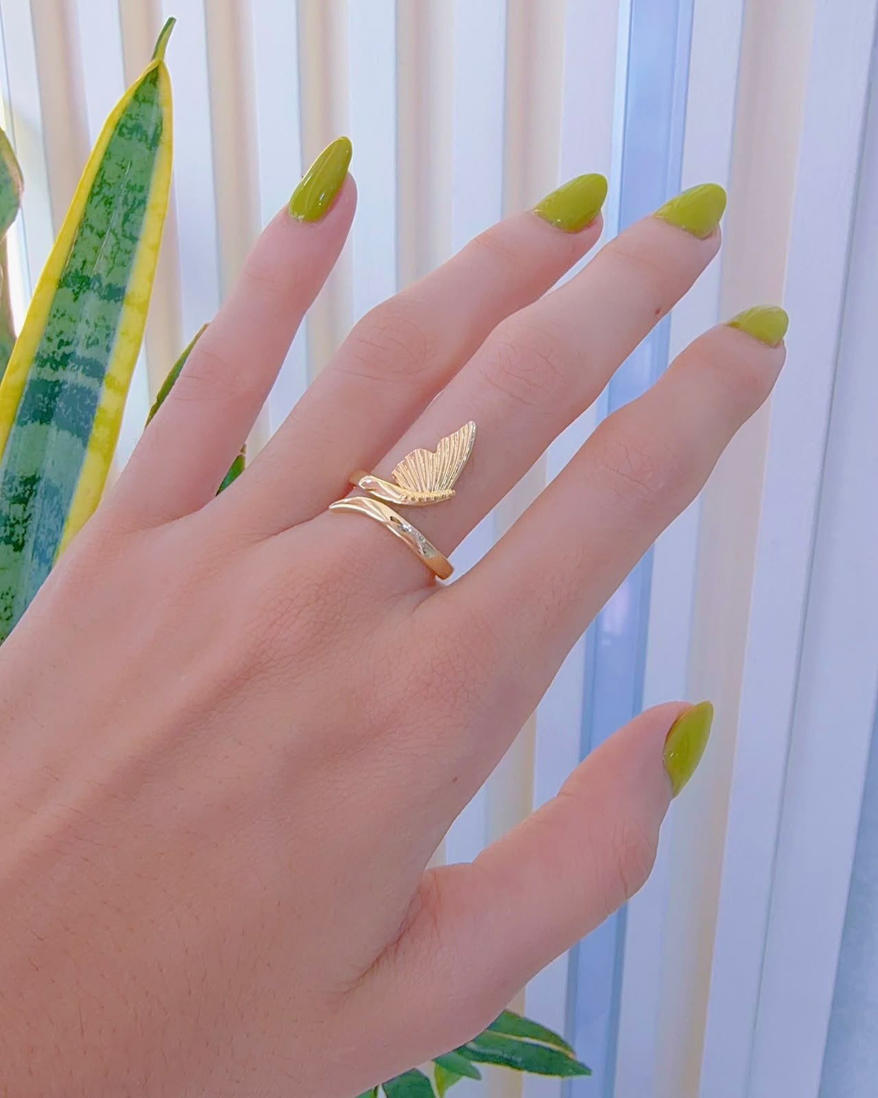 Anillo Marfil