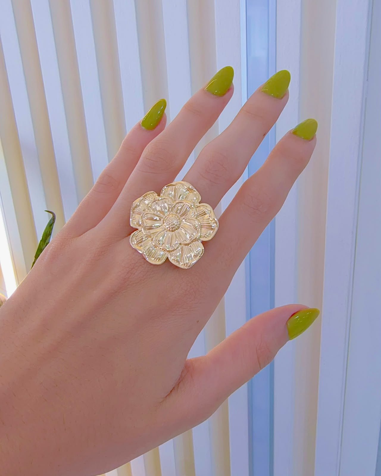 Anillo Siena