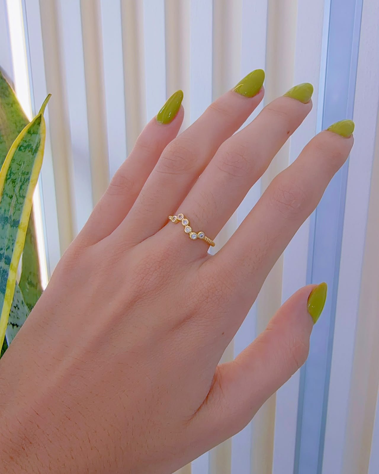 Anillo Curva