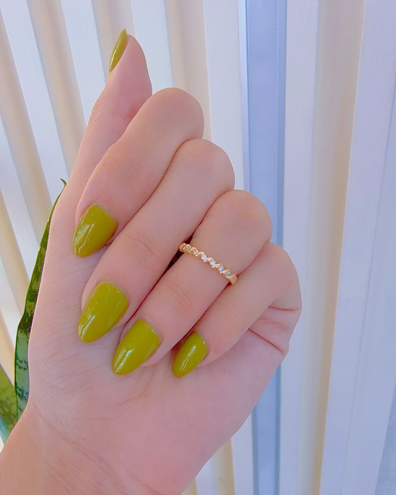 Anillo Selene