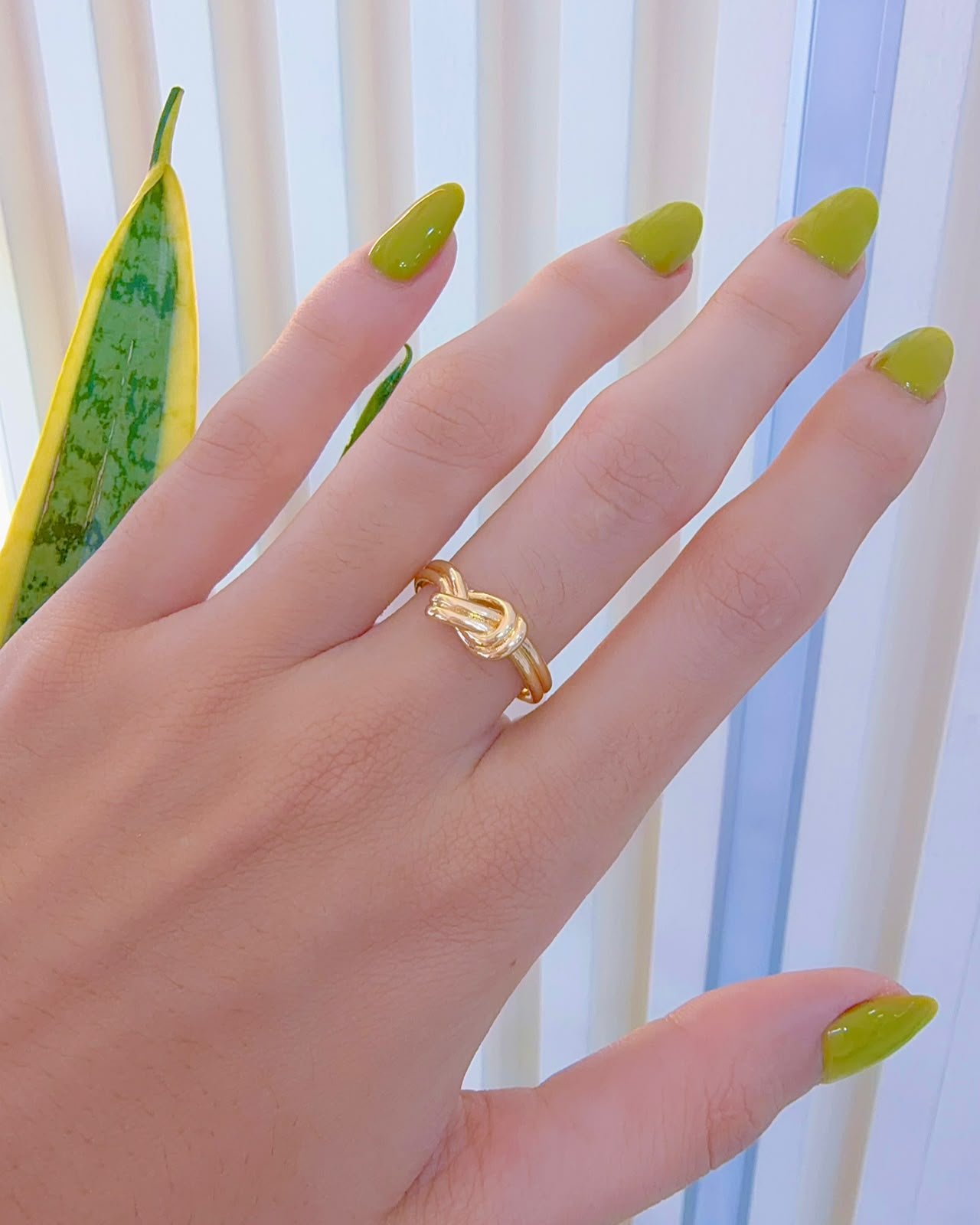 Anillo Nudo