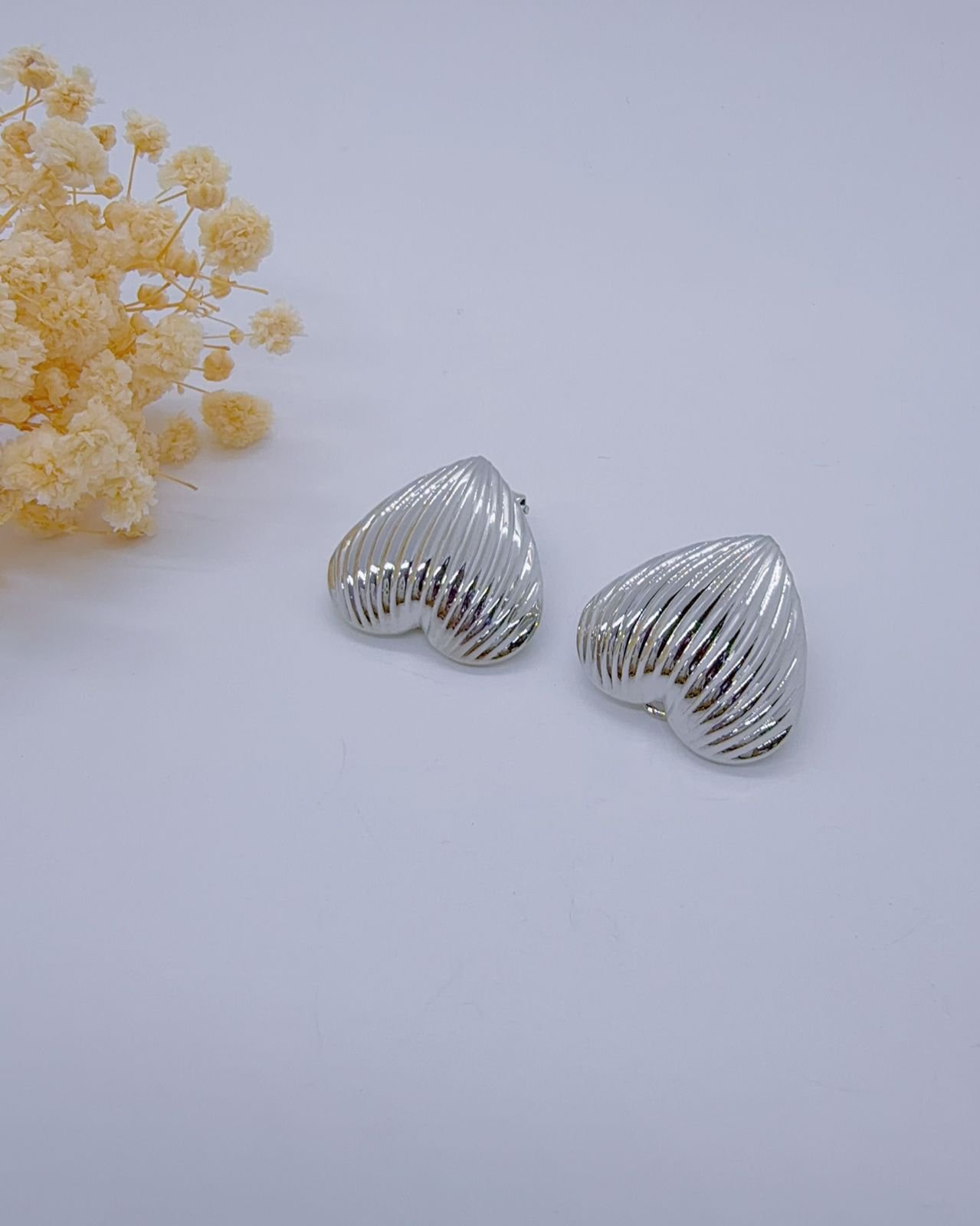 Aretes Clips