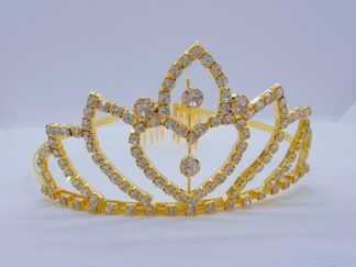 Corona Reina