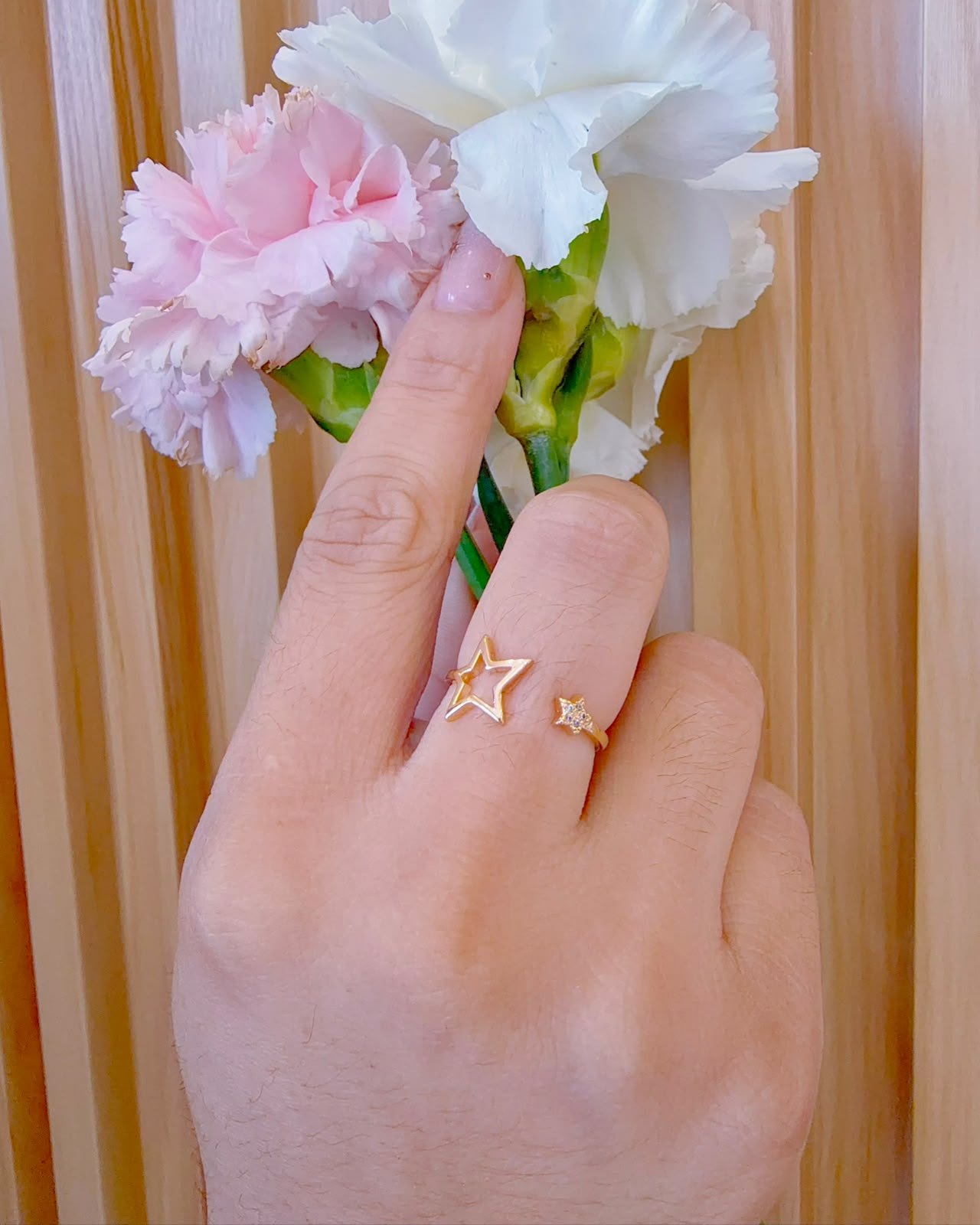 Anillo Fugaz
*Oro Laminado